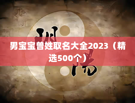 男宝宝曾姓取名大全2023（精选500个）