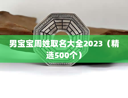 男宝宝周姓取名大全2023（精选500个）