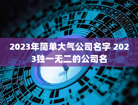 2023年简单大气公司名字 2023独一无二的公司名