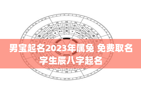 男宝起名2023年属兔 免费取名字生辰八字起名