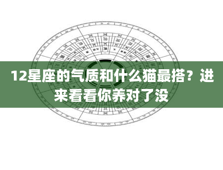 12星座的气质和什么猫最搭？进来看看你养对了没