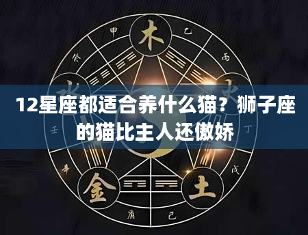 12星座都适合养什么猫？狮子座的猫比主人还傲娇