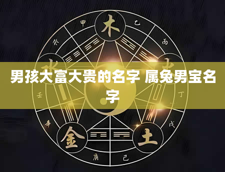 男孩大富大贵的名字 属兔男宝名字