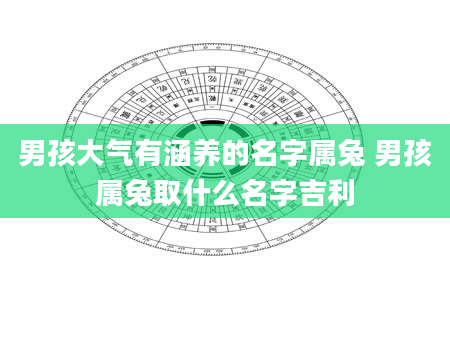 男孩大气有涵养的名字属兔 男孩属兔取什么名字吉利