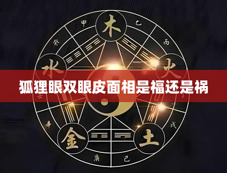 狐狸眼双眼皮面相是福还是祸