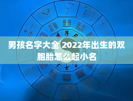 男孩名字大全 2022年出生的双胞胎怎么起小名