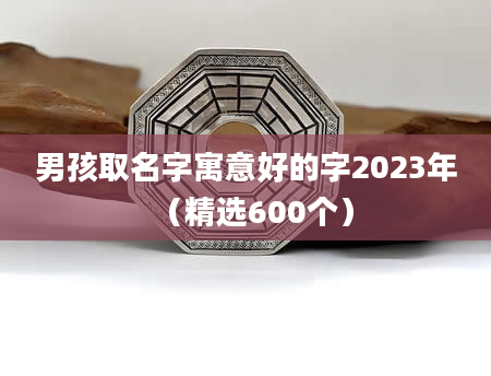 男孩取名字寓意好的字2023年（精选600个）