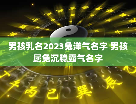 男孩乳名2023兔洋气名字 男孩属兔沉稳霸气名字