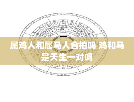 属鸡人和属马人合拍吗 鸡和马是天生一对吗