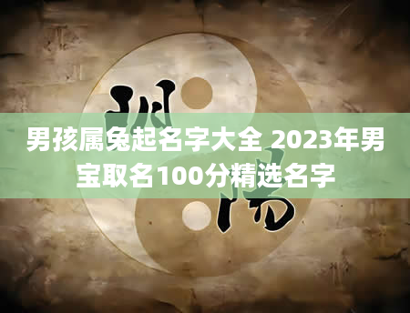 男孩属兔起名字大全 2023年男宝取名100分精选名字