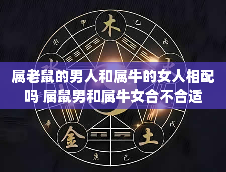 属老鼠的男人和属牛的女人相配吗 属鼠男和属牛女合不合适