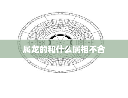 属龙的和什么属相不合