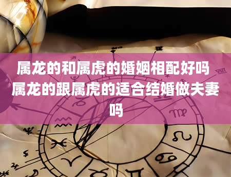 属龙的和属虎的婚姻相配好吗 属龙的跟属虎的适合结婚做夫妻吗
