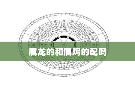 属龙的和属鸡的配吗