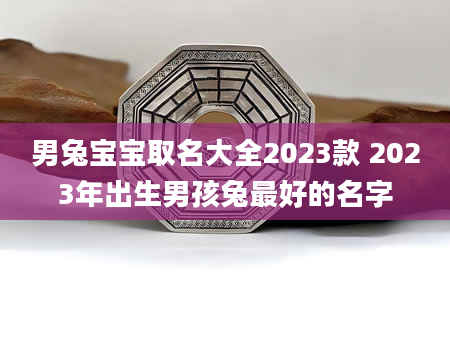 男兔宝宝取名大全2023款 2023年出生男孩兔最好的名字