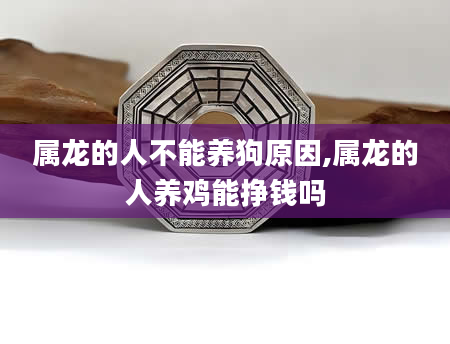 属龙的人不能养狗原因,属龙的人养鸡能挣钱吗