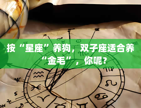 按“星座”养狗，双子座适合养“金毛”，你呢？