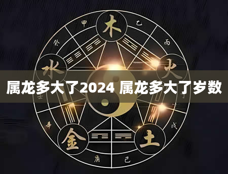 属龙多大了2024 属龙多大了岁数