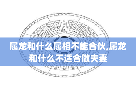 属龙和什么属相不能合伙,属龙和什么不适合做夫妻