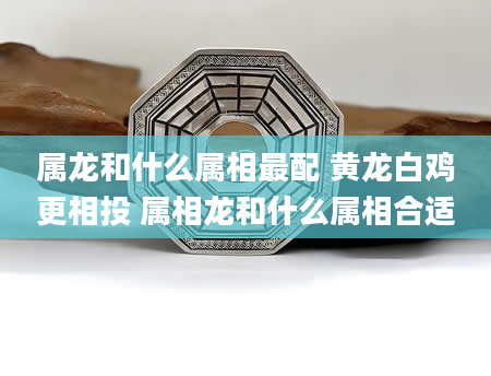 属龙和什么属相最配 黄龙白鸡更相投 属相龙和什么属相合适