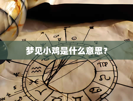 梦见小鸡是什么意思？