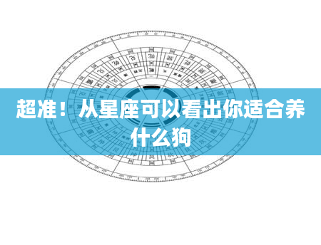 超准！从星座可以看出你适合养什么狗