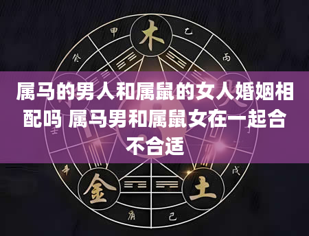 属马的男人和属鼠的女人婚姻相配吗 属马男和属鼠女在一起合不合适