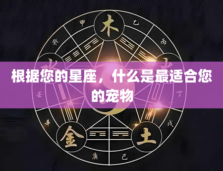 根据您的星座，什么是最适合您的宠物