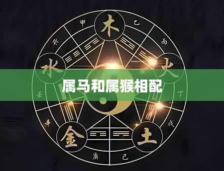 属马和属猴相配