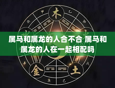 属马和属龙的人合不合 属马和属龙的人在一起相配吗