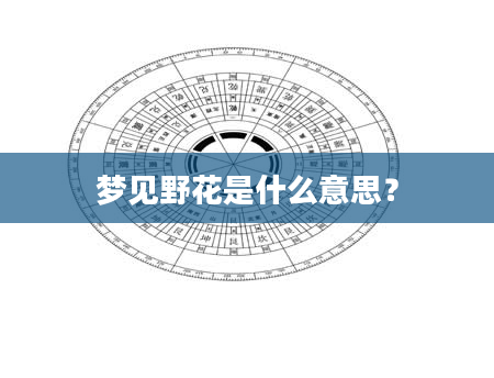 梦见野花是什么意思？