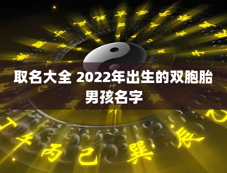 取名大全 2022年出生的双胞胎男孩名字