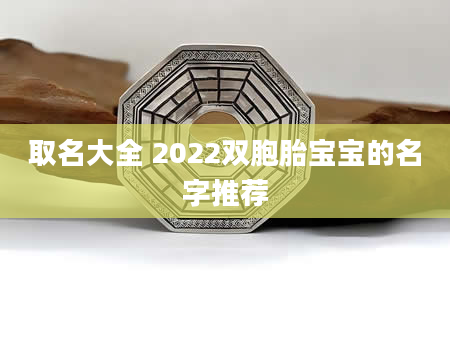 取名大全 2022双胞胎宝宝的名字推荐