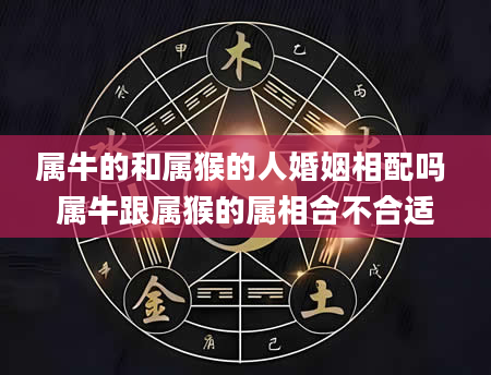 属牛的和属猴的人婚姻相配吗 属牛跟属猴的属相合不合适