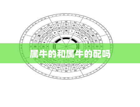 属牛的和属牛的配吗
