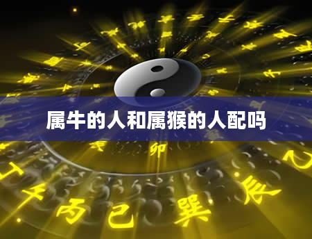 属牛的人和属猴的人配吗