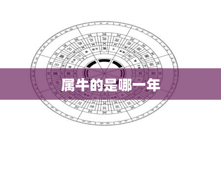 属牛的是哪一年