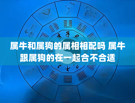 属牛和属狗的属相相配吗 属牛跟属狗的在一起合不合适