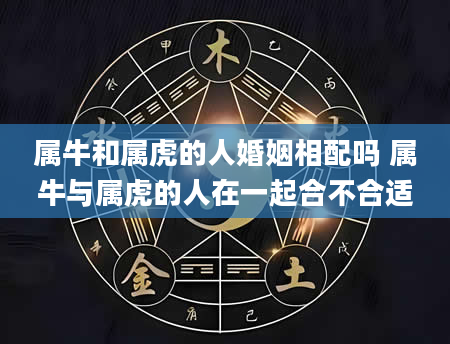 属牛和属虎的人婚姻相配吗 属牛与属虎的人在一起合不合适