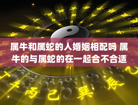 属牛和属蛇的人婚姻相配吗 属牛的与属蛇的在一起合不合适