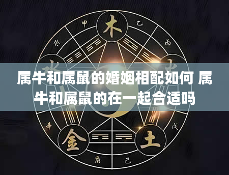 属牛和属鼠的婚姻相配如何 属牛和属鼠的在一起合适吗