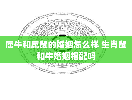 属牛和属鼠的婚姻怎么样 生肖鼠和牛婚姻相配吗