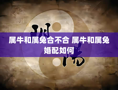 属牛和属兔合不合 属牛和属兔婚配如何