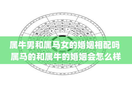 属牛男和属马女的婚姻相配吗 属马的和属牛的婚姻会怎么样