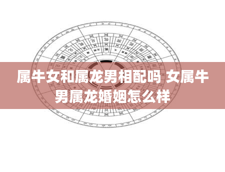 属牛女和属龙男相配吗 女属牛男属龙婚姻怎么样