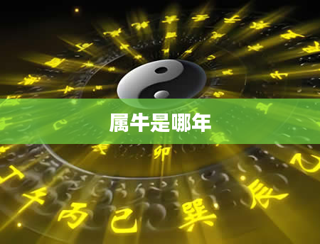 属牛是哪年