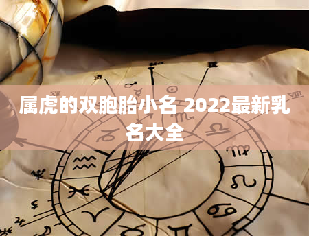 属虎的双胞胎小名 2022最新乳名大全