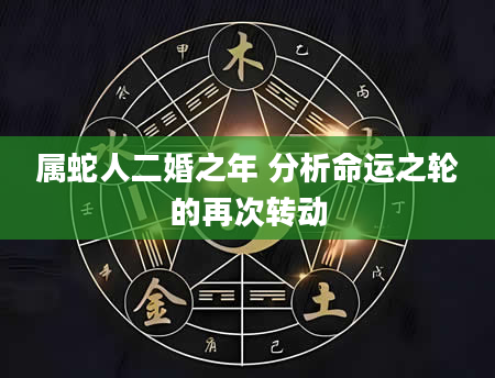 属蛇人二婚之年 分析命运之轮的再次转动