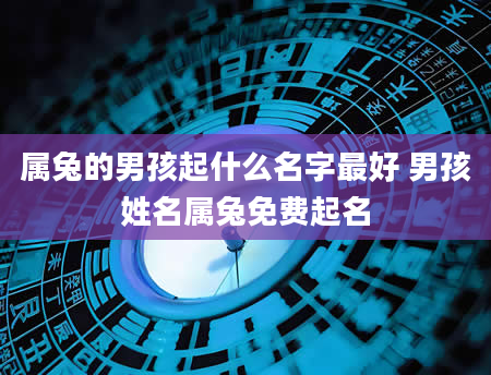 属兔的男孩起什么名字最好 男孩姓名属兔免费起名