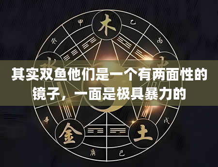 其实双鱼他们是一个有两面性的镜子，一面是极具暴力的